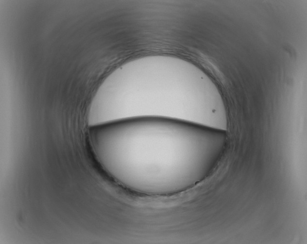 X0000115640025200911101105