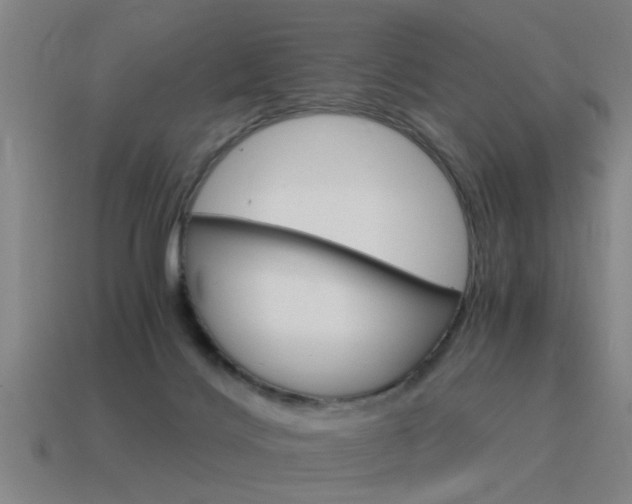 X0000115640028200911101105