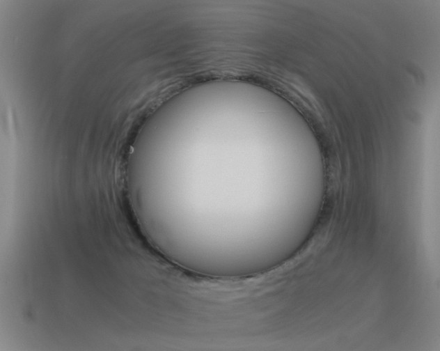 X0000115640029200911101105