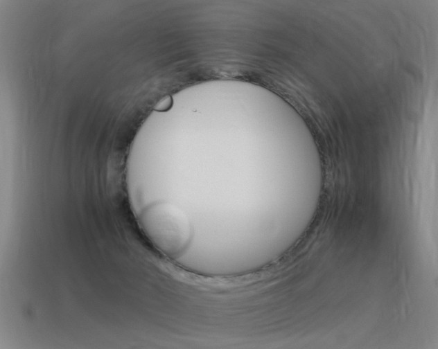 X0000115640030200911101105