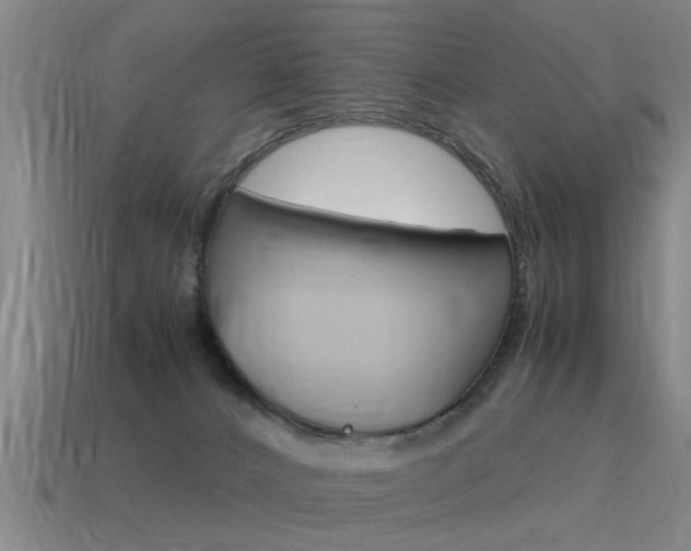 X0000115640032200911101105