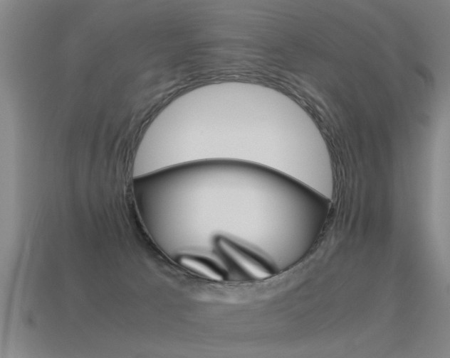 X0000115640033200911101105