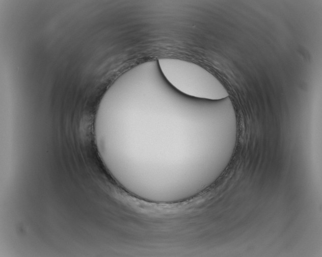 X0000115640034200911101105