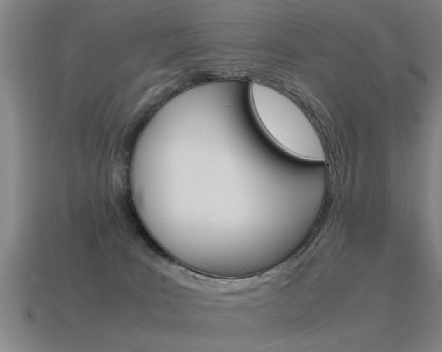 X0000115640035200911101105