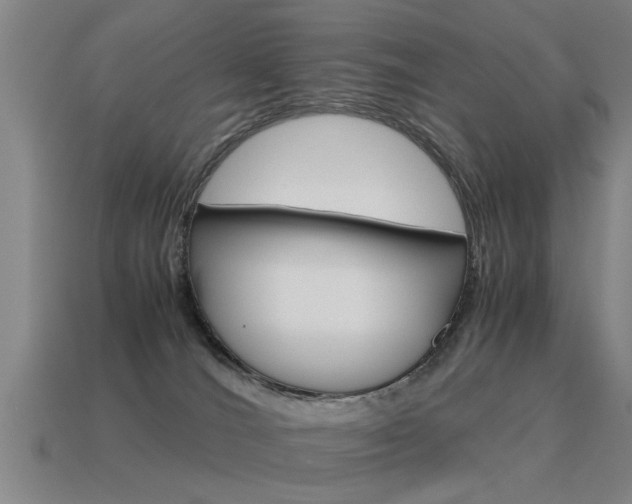 X0000115640036200911101105