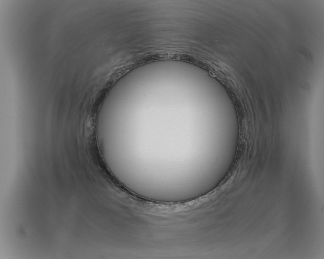 X0000115640037200911101105