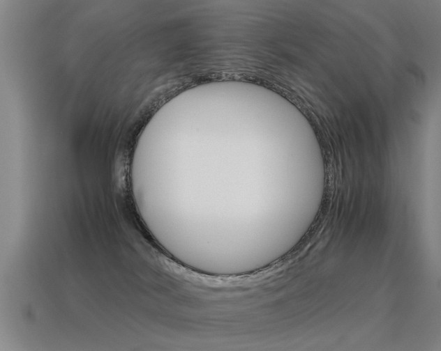 X0000115640038200911101105