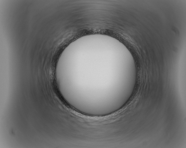 X0000115640039200911101105