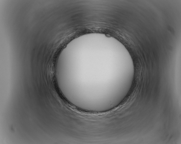 X0000115640040200911101105