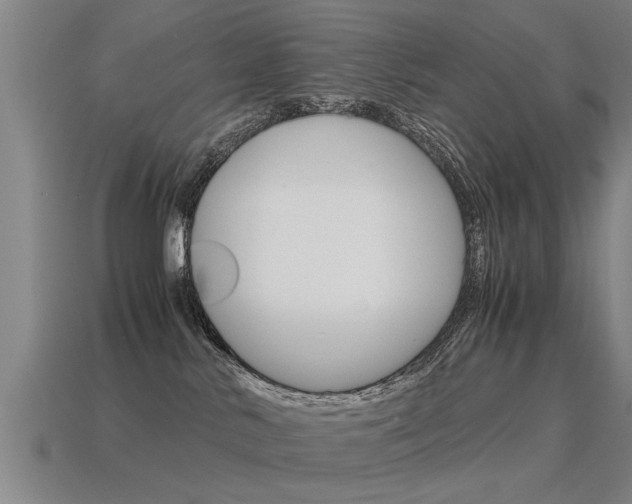 X0000115640042200911101105