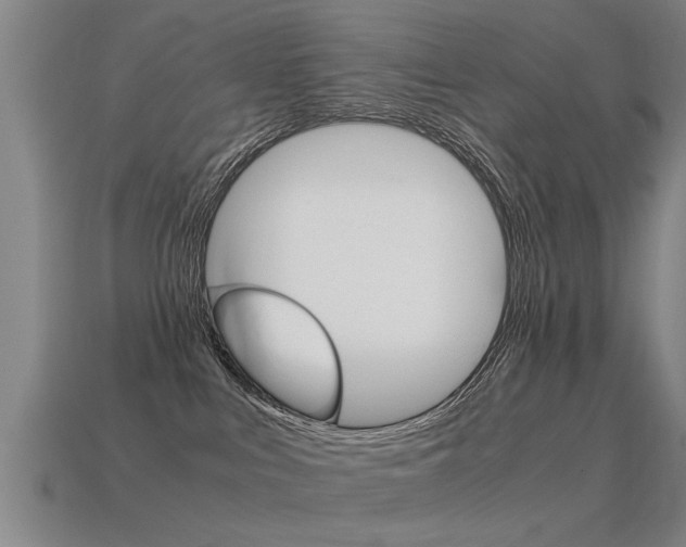 X0000115640043200911101105