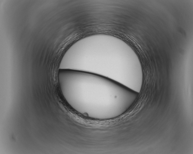X0000115640044200911101105