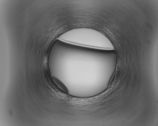 X0000115640045200911101105
