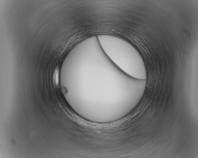 X0000115640046200911101105