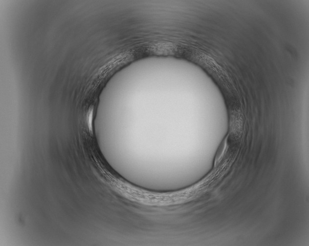 X0000115640047200911101105