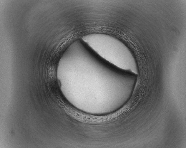 X0000115640048200911101105
