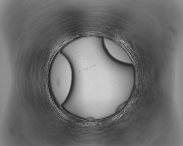 X0000115640049200911101104