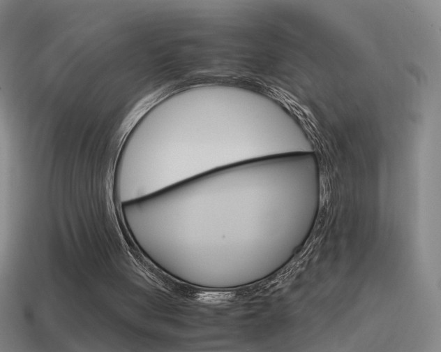 X0000115640051200911101104