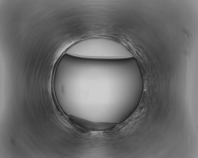 X0000115640052200911101104