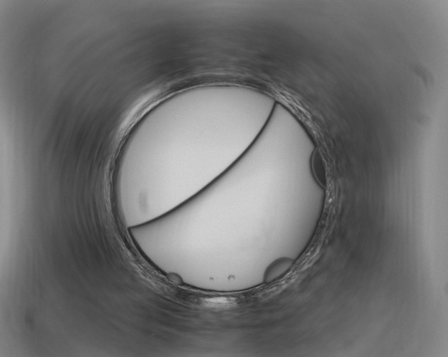 X0000115640053200911101104