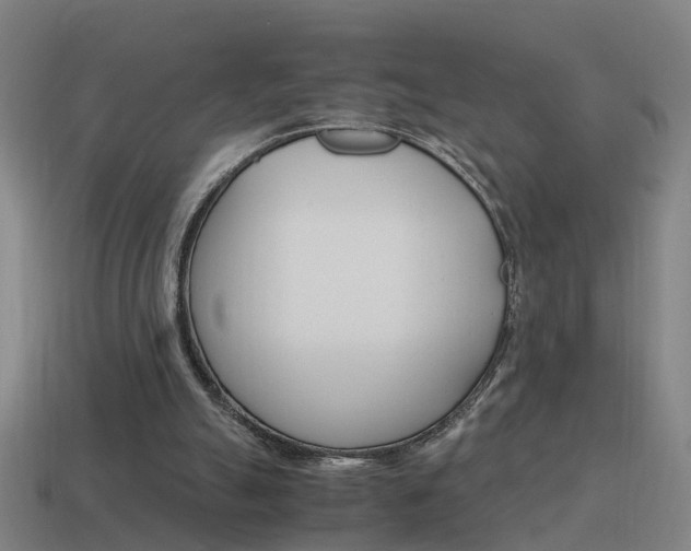 X0000115640055200911101104