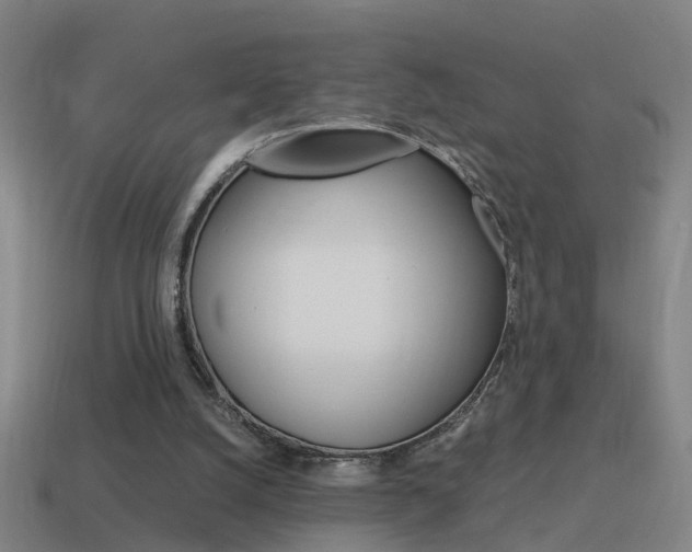 X0000115640056200911101104