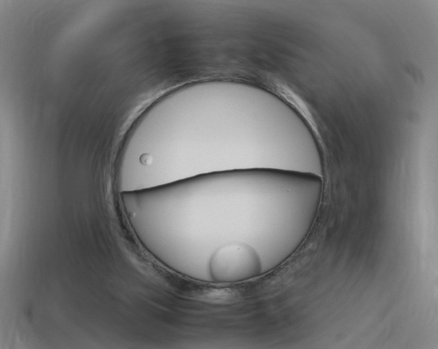 X0000115640059200911101104