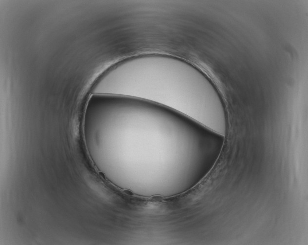 X0000115640060200911101104