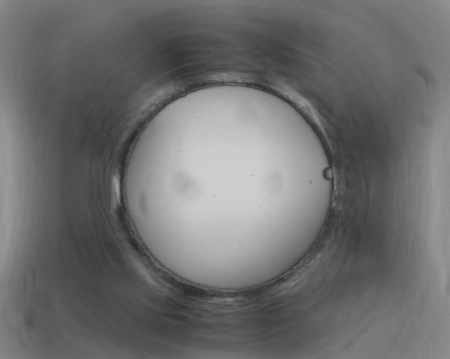X0000115640061200911101104