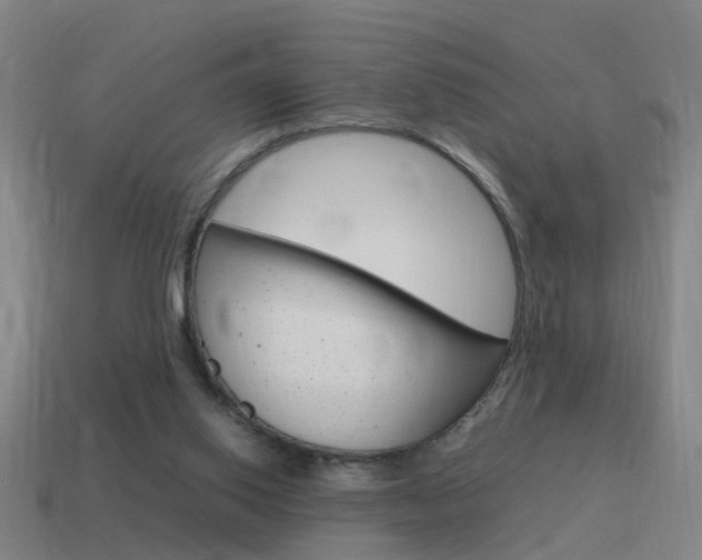 X0000115640062200911101104