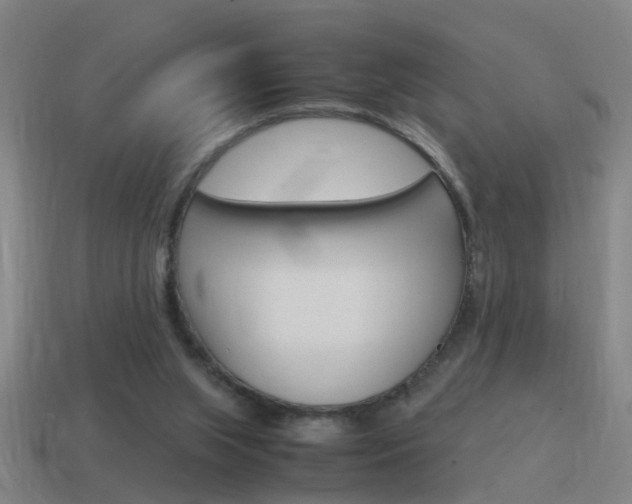 X0000115640063200911101104