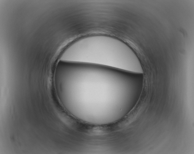 X0000115640064200911101104