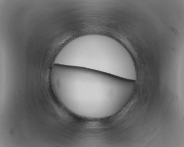 X0000115640066200911101104