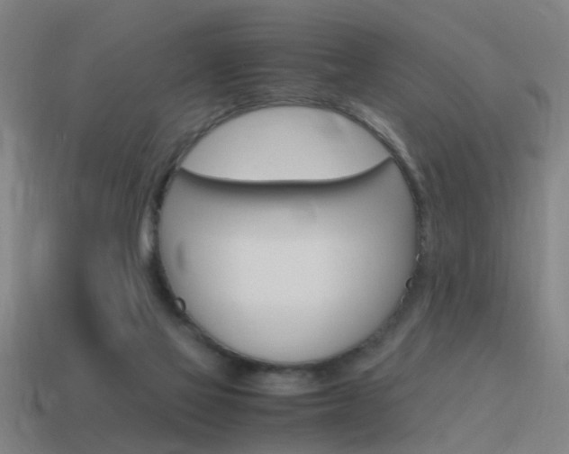 X0000115640069200911101104