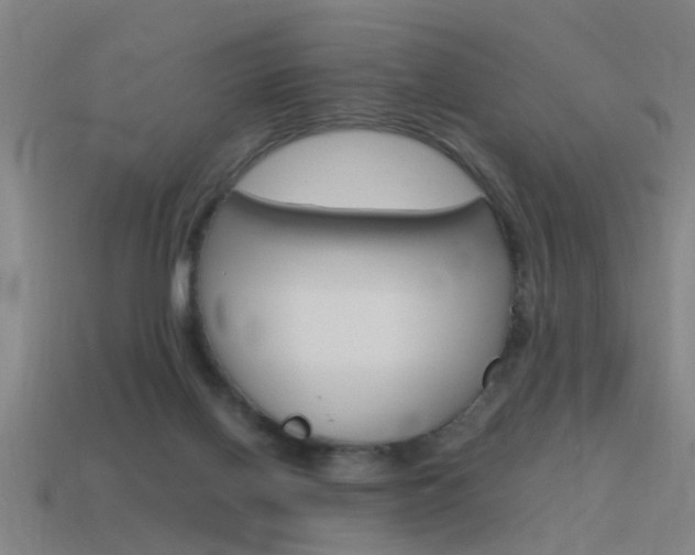 X0000115640070200911101104