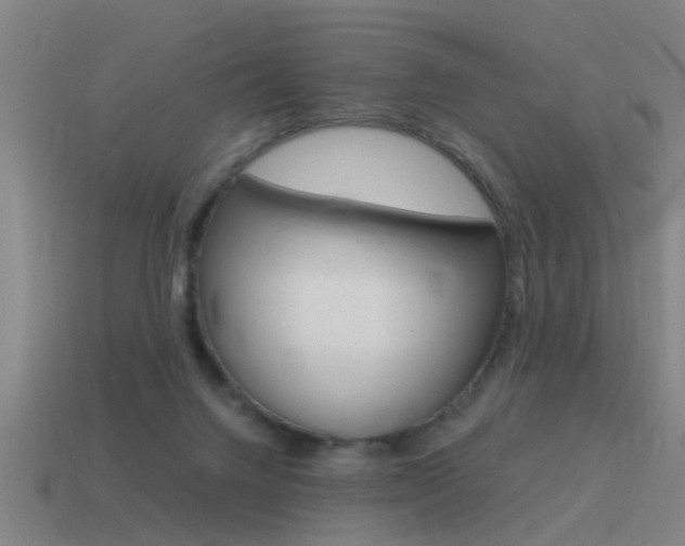 X0000115640072200911101105