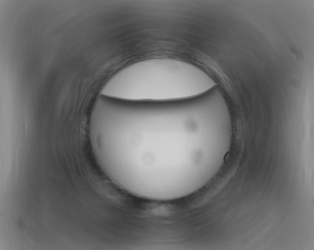X0000115640073200911101105