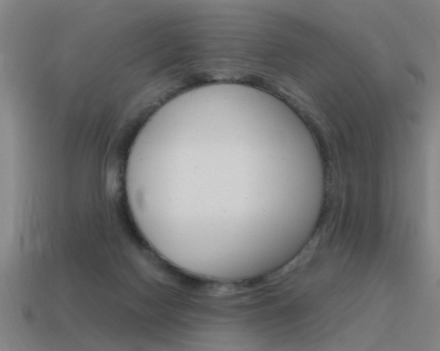 X0000115640074200911101105