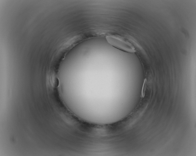 X0000115640076200911101105