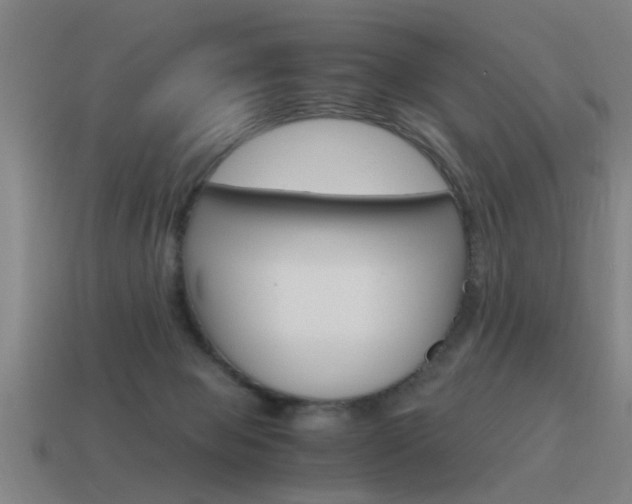 X0000115640077200911101105