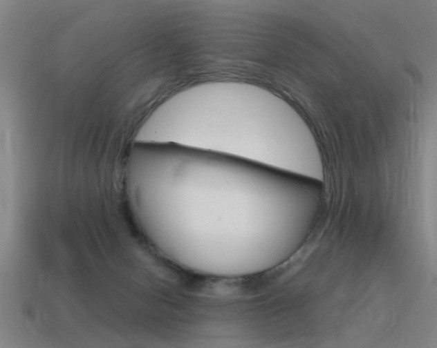 X0000115640078200911101105