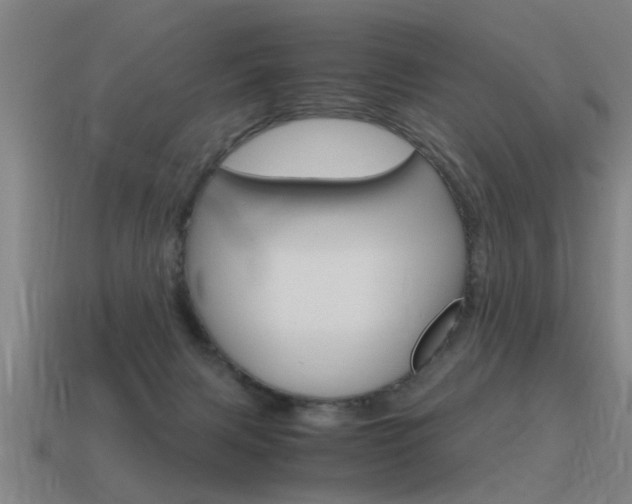 X0000115640079200911101105