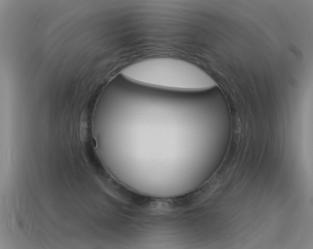 X0000115640080200911101105