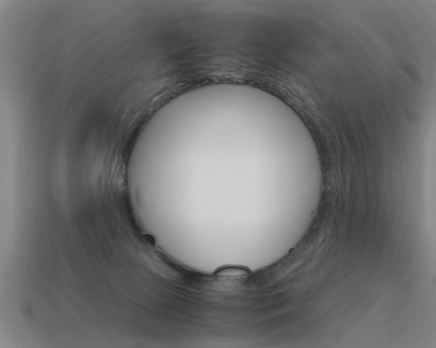 X0000115640081200911101105