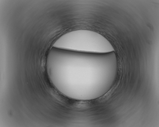 X0000115640082200911101105