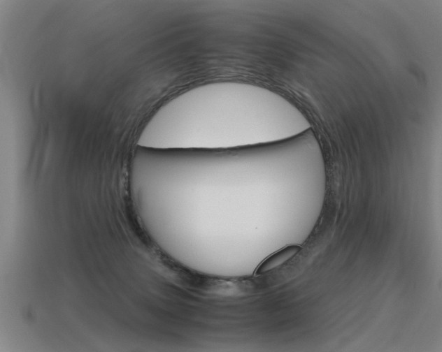 X0000115640083200911101105