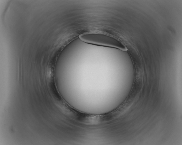 X0000115640084200911101105