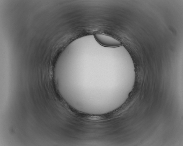 X0000115640085200911101105