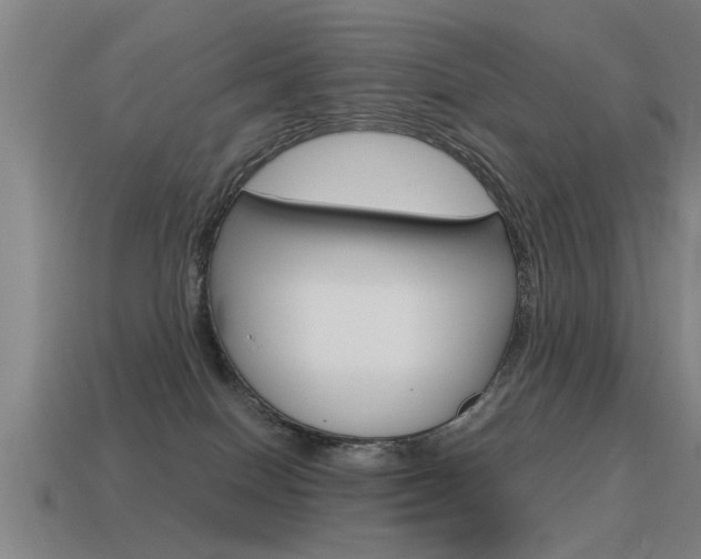X0000115640086200911101105