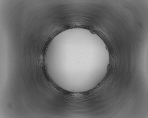 X0000115640087200911101105